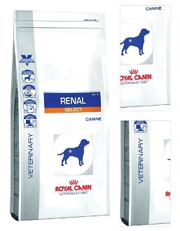 Royal Canin Veterinary Diet Dog RENAL SELECT - 10kg 3