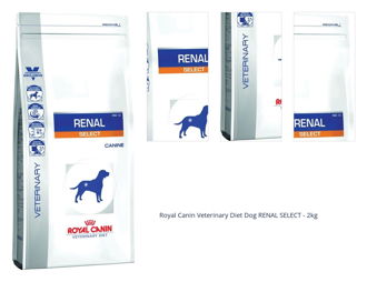 Royal Canin Veterinary Diet Dog RENAL SELECT - 2kg 1