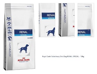 Royal Canin Veterinary Diet Dog RENAL SPECIAL - 10kg 1