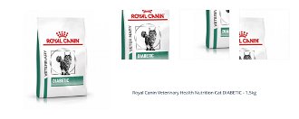 Royal Canin Veterinary Health Nutrition Cat DIABETIC - 1,5kg 1
