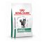Royal Canin Veterinary Health Nutrition Cat DIABETIC - 1,5kg