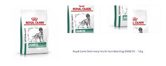 Royal Canin Veterinary Health Nutrition Dog DIABETIC - 12kg 1