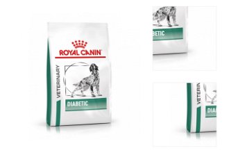 Royal Canin Veterinary Health Nutrition Dog DIABETIC - 12kg 3