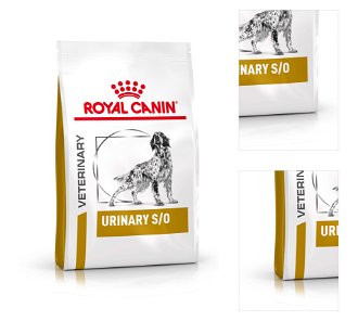 Royal Canin Veterinary Health Nutrition Dog URINARY S/O - 2kg 3