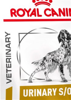Royal Canin Veterinary Health Nutrition Dog URINARY S/O - 2kg 5