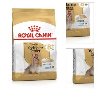 Royal Canin YORKSHIRE 8+ - 1,5kg 3