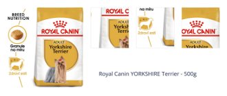 Royal Canin YORKSHIRE Terrier - 500g 1