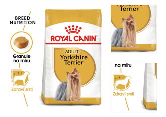 Royal Canin YORKSHIRE Terrier - 500g 3