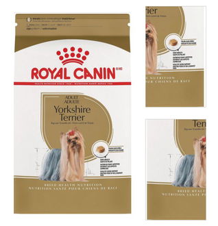 Royal Canin Yorkshire Terrier Adult 7,5kg 3