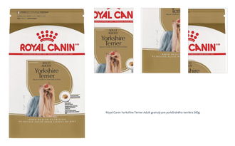 Royal Canin Yorkshire Terrier Adult granuly pre yorkšírského terriéra 500g 1