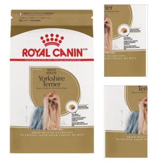 Royal Canin Yorkshire Terrier Adult granuly pre yorkšírského terriéra 500g 3