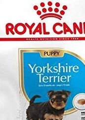 Royal Canin Yorkshire Terrier Junior 1,5 kg 5