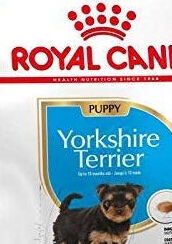 Royal Canin Yorkshire Terrier Junior 1,5 kg 5