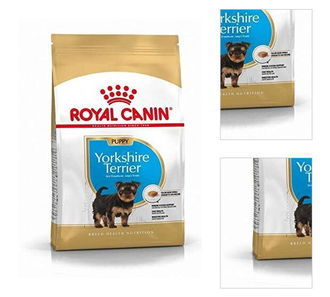 Royal Canin Yorkshire Terrier Junior 500 g 3