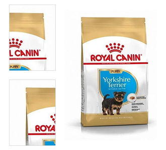 Royal Canin Yorkshire Terrier Junior 500 g 4