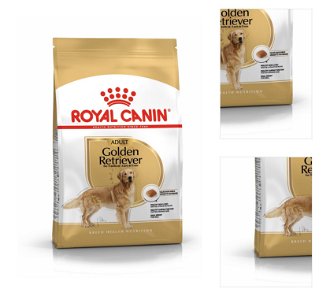 Royal Canin ZLATÝ RETRIEVER - 12kg 3