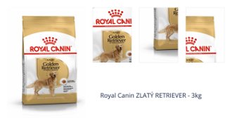 Royal Canin ZLATÝ RETRIEVER - 3kg 1