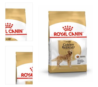 Royal Canin ZLATÝ RETRIEVER - 3kg 4