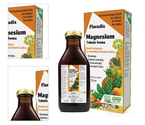 SALUS Floradix Magnesium 9