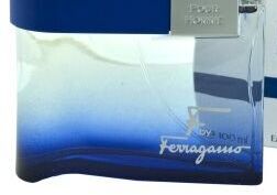 Ferragamo F by Ferragamo Free Time toaletná voda pre mužov 100 ml 8