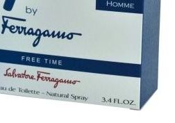 Ferragamo F by Ferragamo Free Time toaletná voda pre mužov 100 ml 9