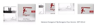 Salvatore Ferragamo F By Ferragamo Pour Homme - EDT 100 ml 1