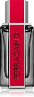 Ferragamo Red Leather parfumovaná voda pre mužov 100 ml