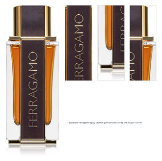 Ferragamo Ferragamo Spicy Leather parfumovaná voda pre mužov 100 ml 1