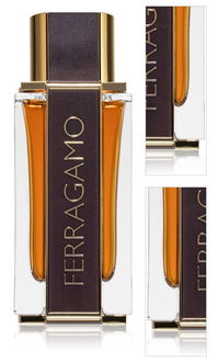 Ferragamo Ferragamo Spicy Leather parfumovaná voda pre mužov 100 ml 3