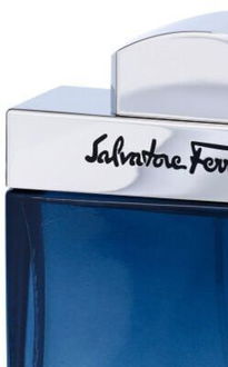 Ferragamo Subtil Pour Homme toaletná voda pre mužov 100 ml 6