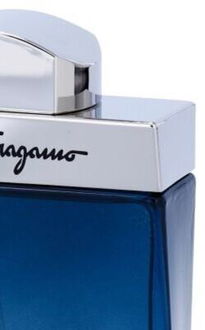 Ferragamo Subtil Pour Homme toaletná voda pre mužov 100 ml 7