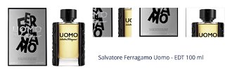 Salvatore Ferragamo Uomo - EDT 100 ml 1