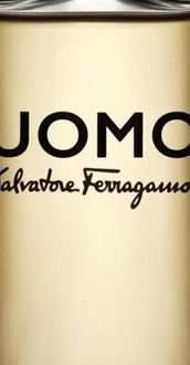 Ferragamo Uomo toaletná voda pre mužov 100 ml 5