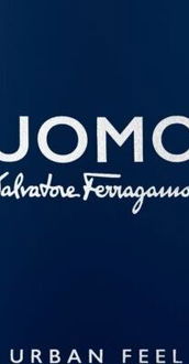 Ferragamo Uomo Urban Feel toaletná voda pre mužov 100 ml 5