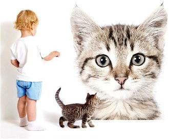 Samolepka na stenu - mačička veľkosť: S, laminát: matný
