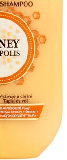 Šampón pre poškodené vlasy Garnier Botanic Therapy Honey - 250 ml 9