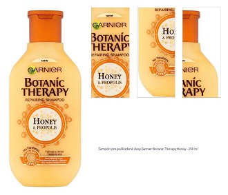 Šampón pre poškodené vlasy Garnier Botanic Therapy Honey - 250 ml 1