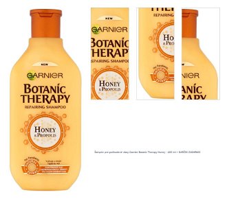 Šampón pre poškodené vlasy Garnier Botanic Therapy Honey - 400 ml + darček zadarmo 1