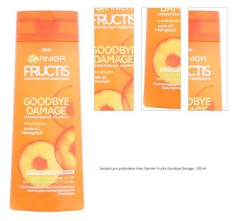 Šampón pre poškodené vlasy Garnier Fructis Goodbye Damage - 250 ml 1