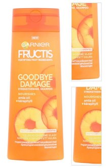 Šampón pre poškodené vlasy Garnier Fructis Goodbye Damage - 250 ml 3