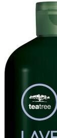 Šampón pre suché vlasy Paul Mitchell Lavender Mint - 300 ml (201133) + darček zadarmo 6