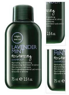 Šampón pre suché vlasy Paul Mitchell Lavender Mint - 75 ml (201130) + DARČEK ZADARMO 3