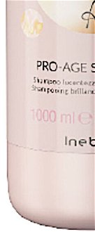 Šampón pre žiarivý lesk vlasov Inebrya Ice Cream Argan Age Pro-Age Shampoo - 1000 ml (771026330) + darček zadarmo 8