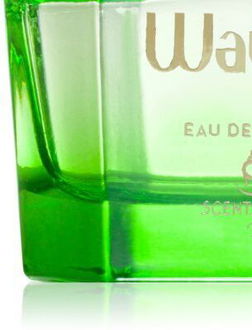 Scentsations Waves Feelings parfumovaná voda pre ženy 100 ml 8