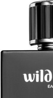 Scentsations Wild Noir parfumovaná voda pre mužov 100 ml 6