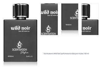 Scentsations Wild Noir parfumovaná voda pre mužov 100 ml 1