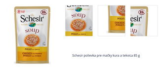 Schesir polievka pre mačky kura a tekvica 85 g 1