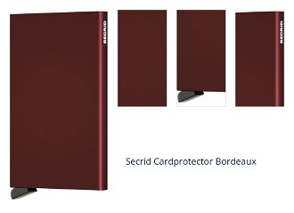 Secrid Cardprotector Bordeaux 1