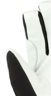 Ski gloves Eska Cross Wool GTX 6