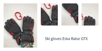 Ski gloves Eska Raise GTX 1